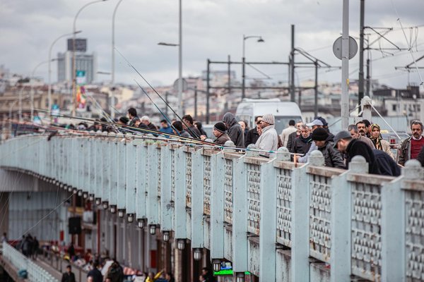 Panneau solaire photovoltaïque : un avenir énergétique adapté