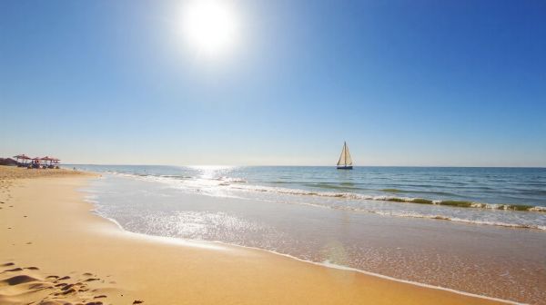 Top 10 plages sensationnelles à explorer sur l'île d'Oléron