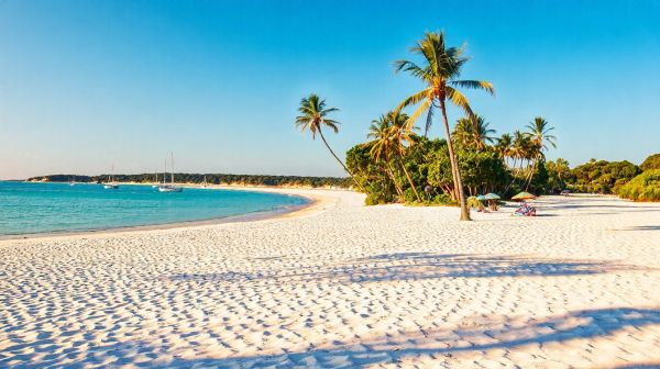 Top 10 plages sensationnelles à explorer sur l'île d'Oléron